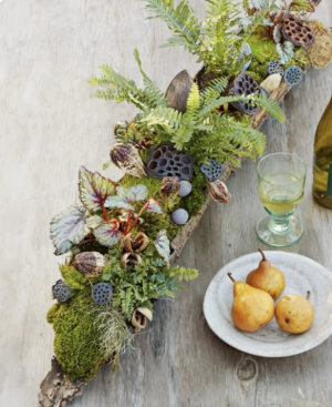 Pot et Fleur Planted Centerpieces Workshop November 13th